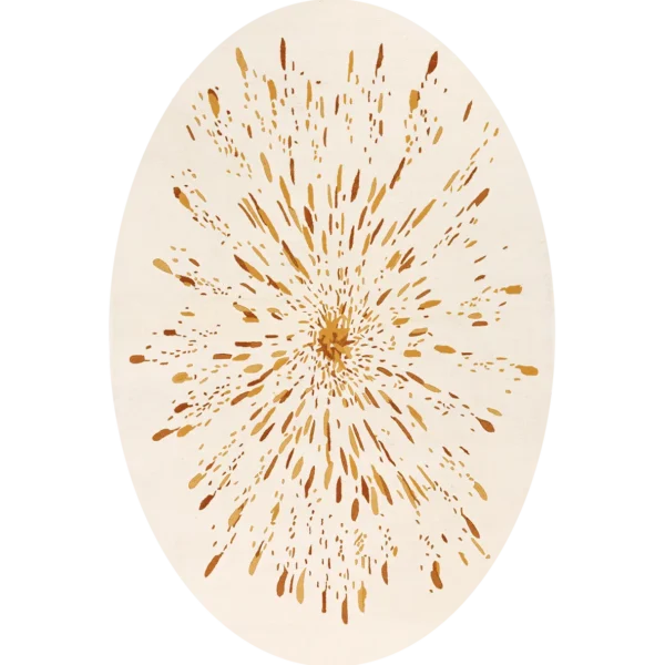 Paint-ocre-ovale-Toulemonde-Bochart_xcarré